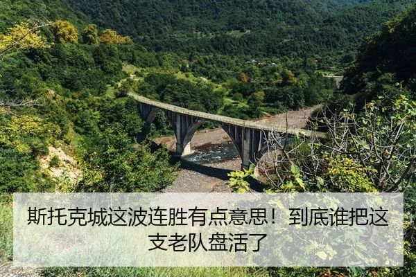si-tuo-ke-cheng-zhe-bo-lian-sheng-you-dian-yi-si-dao-di-shui-ba-zhe-zhi-lao-dui-pan-huo-le-2-789.jpg