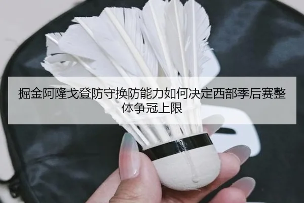 掘金阿隆戈登防守换防能力如何决定西部季后赛整体争冠上限