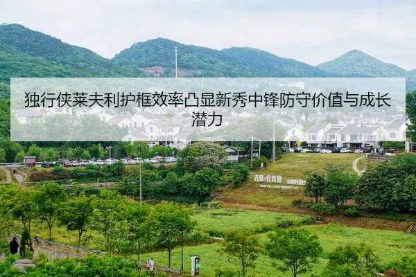 du-xing-xia-lai-fu-li-hu-kuang-xiao-lv-tu-xian-xin-xiu-zhong-feng-fang-shou-jia-zhi-yu-cheng-zhang-qian-li-2-587.jpg