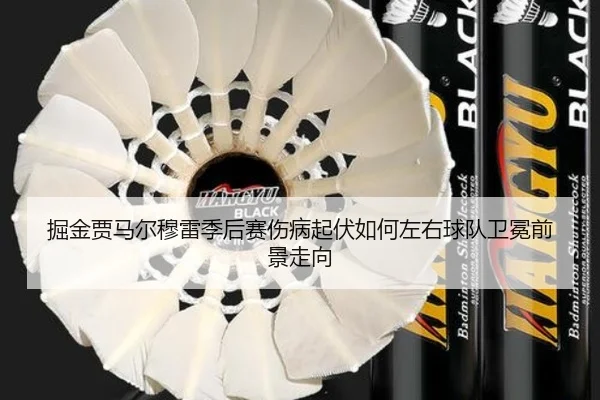掘金贾马尔穆雷季后赛伤病起伏如何左右球队卫冕前景走向
