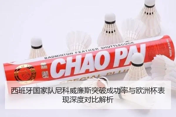 西班牙国家队尼科威廉斯突破成功率与欧洲杯表现深度对比解析