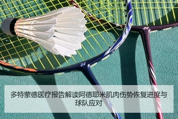 多特蒙德医疗报告解读阿德耶米肌肉伤势恢复进度与球队应对